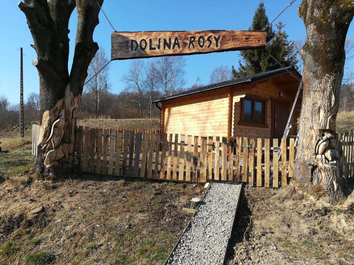 Dolina Rosy Villa Ustrzyki Dolne Eksteriør billede