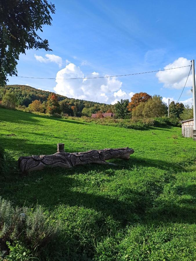 Dolina Rosy Villa Ustrzyki Dolne Eksteriør billede